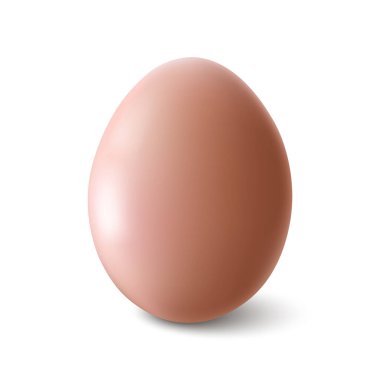 Beyaz arka planda gölgesi olan büyük gerçekçi gri tavuk yumurtası.