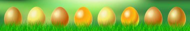 Yeşil çimlerin üzerinde farklı tonlarda birçok altın yumurta - illüstrasyon