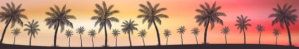 Rzeczywisty zachód słońca na tle palm - Wektor — Wektor stockowy