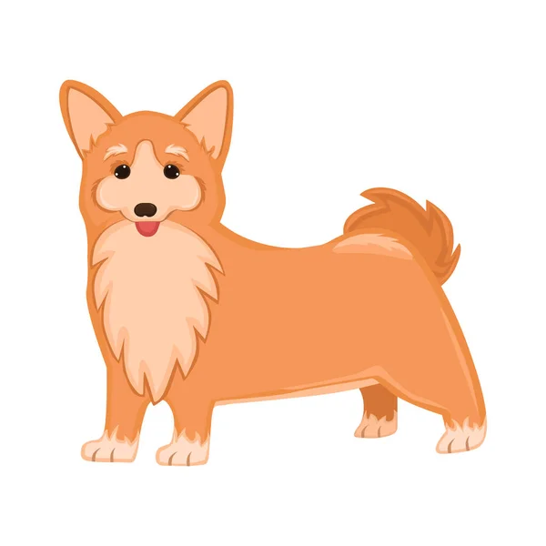 Cão Realista Raça Corgi Fundo Branco Ilustração Vetorial — Vetor de Stock