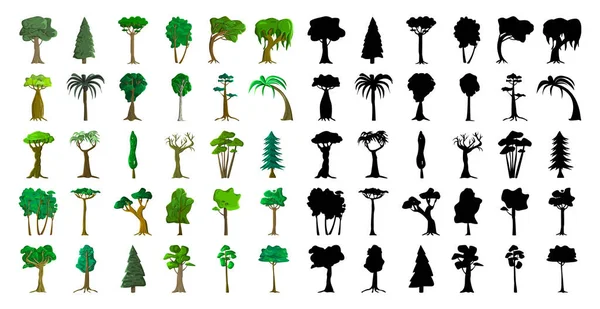 Seth Svarta Silhuetter Och Realistiska Träd Från Olika Klimatzoner Vit — Stock vektor