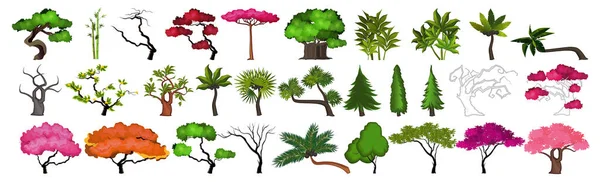 Sete Árvores Diferentes Zonas Climáticas Sobre Fundo Branco Ilustração Vetorial — Vetor de Stock