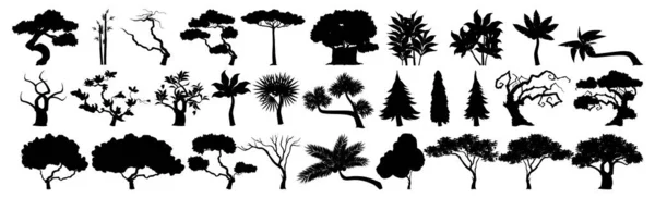 Seth Schwarze Silhouetten Von Bäumen Aus Verschiedenen Klimazonen Auf Weißem — Stockvektor