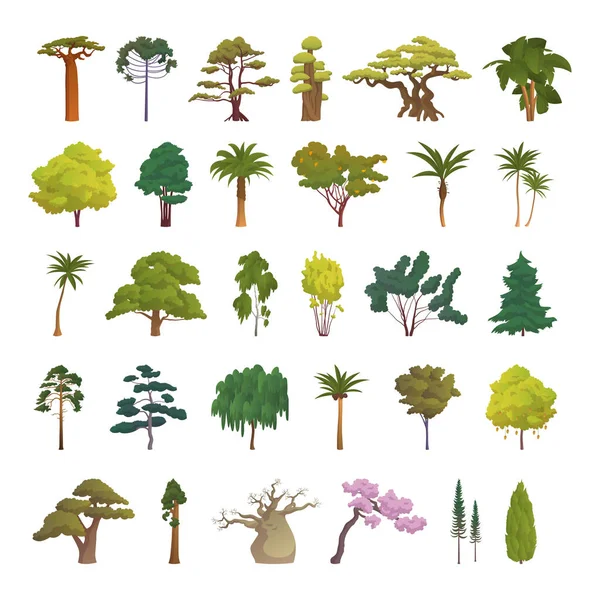 Seth Trees Different Climatic Zones White Background Vector Illustration — Stock Vector