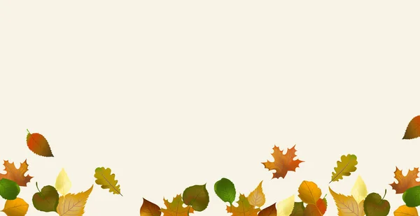 Realistische Herbstblätter Auf Hellem Hintergrund Vektorillustration — Stockvektor