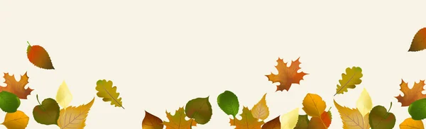 Realistic Autumn Leaves Light Background Vector Illustration — Stock Vector