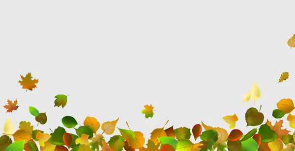 Realistische Herbstblätter Auf Hellem Hintergrund Vektorillustration — Stockvektor