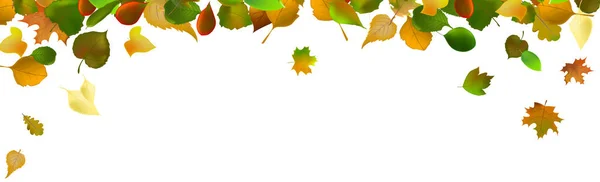 光の背景に現実的な秋の葉 ベクトルイラスト — ストックベクタ