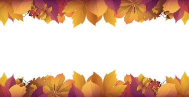 Gerçekçi sonbahar yeşilliği, metin için alanı olan beyaz arkaplan - Vektör illüstrasyonu