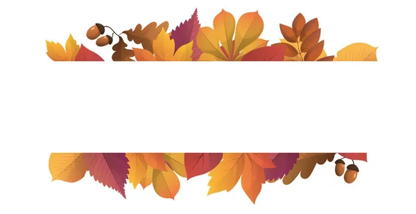 Follaje Realista Otoño Fondo Blanco Con Espacio Para Texto Ilustración — Vector de stock