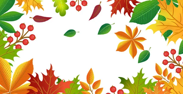 Realistische Herbstblätter Auf Hellem Hintergrund Vektorillustration — Stockvektor