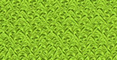 Gerçekçi sarı-yeşil çimen, çimenlik arka plan - Vektör illüstrasyonu