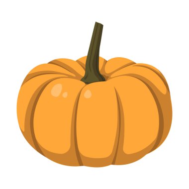 Beyaz arka planda gerçekçi büyük turuncu balkabağı - Vektör illüstrasyonu