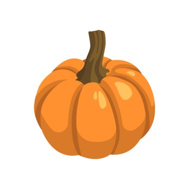 Beyaz arka planda gerçekçi büyük turuncu balkabağı - Vektör illüstrasyonu