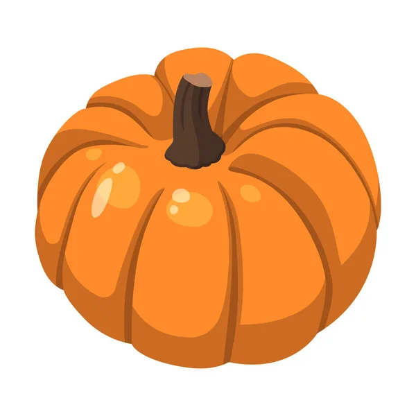 Calabaza Naranja Grande Realista Sobre Fondo Blanco Ilustración Vectorial — Vector de stock