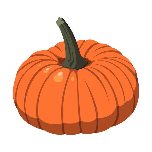 Calabaza Naranja Grande Realista Sobre Fondo Blanco Ilustración Vectorial — Vector de stock