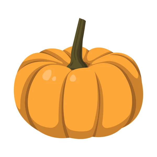 Calabaza Naranja Grande Realista Sobre Fondo Blanco Ilustración Vectorial — Vector de stock