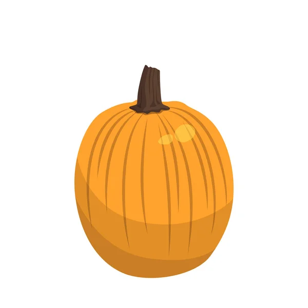 Calabaza Naranja Grande Realista Sobre Fondo Blanco Ilustración Vectorial — Vector de stock