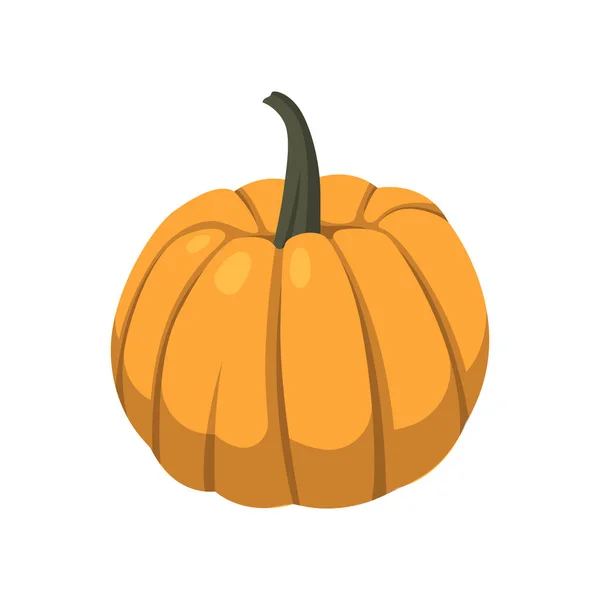 Calabaza Naranja Grande Realista Sobre Fondo Blanco Ilustración Vectorial — Vector de stock