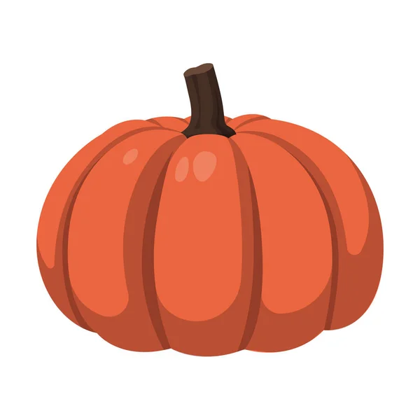 Calabaza Naranja Grande Realista Sobre Fondo Blanco Ilustración Vectorial — Vector de stock