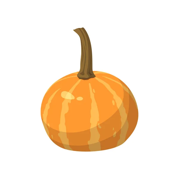 Calabaza Naranja Grande Realista Sobre Fondo Blanco Ilustración Vectorial — Vector de stock