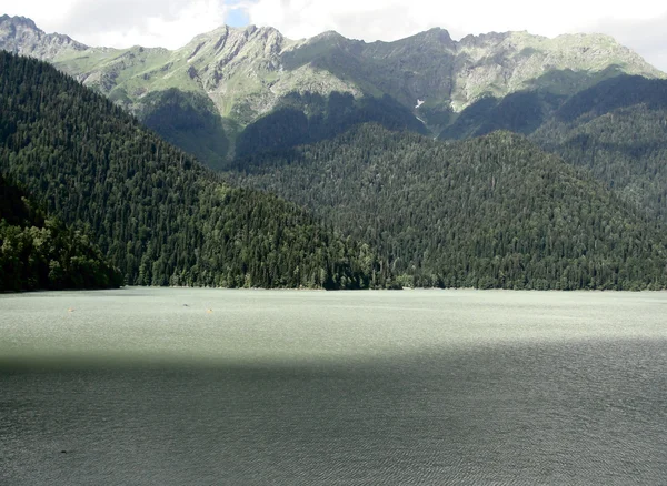 Montanha lago Ritsa verão, Abcásia . — Fotografia de Stock