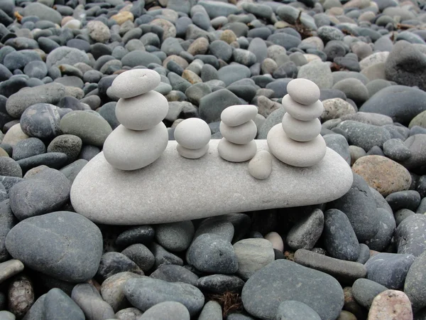 White stones on the gray stones.
