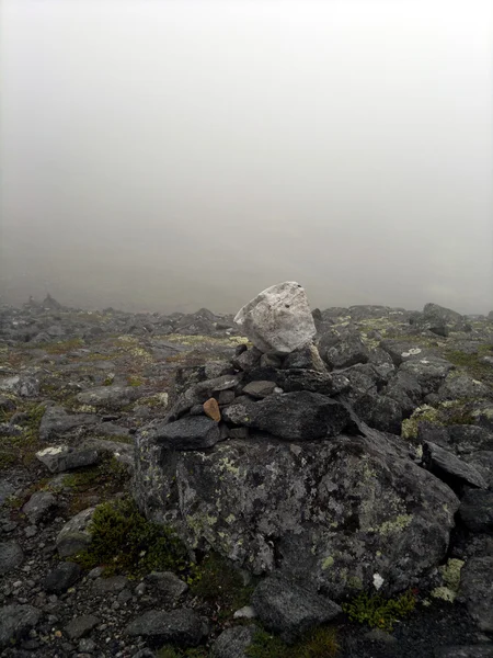 Taşlar, sid, Kuzey Rusya yoldan belirtileri.