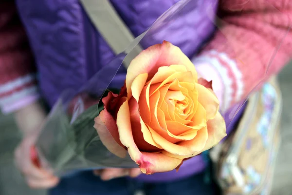 Gül kaplan kızlar, elinde bir hediye Mart 8.