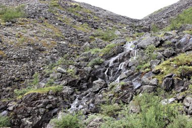 Şelale dağlarda, Arktik tundra, Rusya Federasyonu.