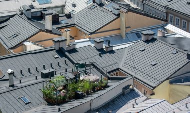 Çatı bahçesi. Salzburg 'da çatıda yeşil bir vaha var..