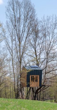 Ormandaki ahşap ağaç ev.