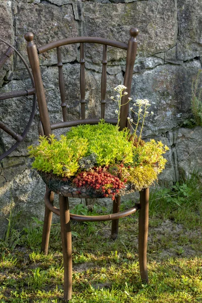 Stary Drewniany Siewnik Krzeseł Outdoor Vintage Krzesło Poddane Recyklingowi Używane — Zdjęcie stockowe