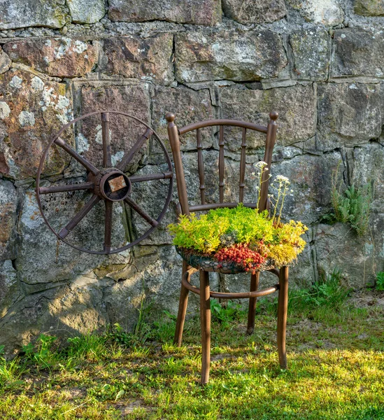 Old Wooden Chair Planter Outdoor Vintage Chair Recycled Used Planter — Stock Photo, Image