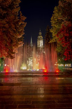Geceleri arka planda St. Elizabeth Katedrali 'nin olduğu Şarkı Söyleyen Çeşme. Kosice. Slovakya.