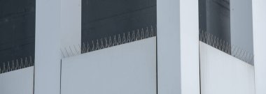 Modern bir ofis binasına kuş kontrol metal çivileri monte edildi. Güvercin çivileri..