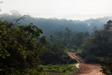 Brezilya'da Trans-Amazon Otoban