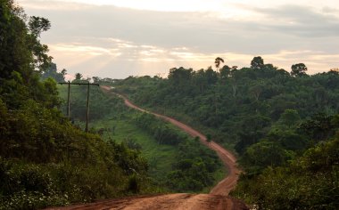 Brezilya'da Trans-Amazon Otoban