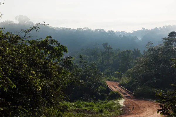 Transamazonische Autobahn in Brasilien — Stockfoto