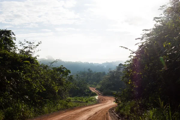 Transamazonische Autobahn in Brasilien — Stockfoto