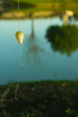 Float ve Hook balıkçılık