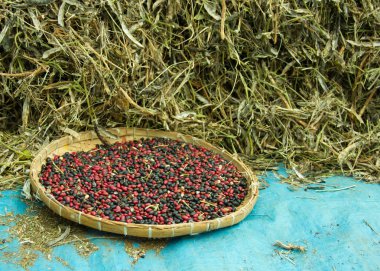 Bambu elek fasulye dolu