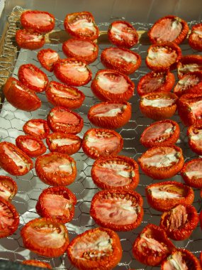 Güneş kurutulmuş domates basit bir kurutma tepsi