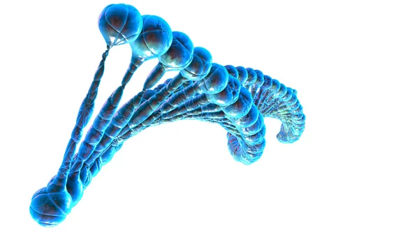 Dna molecule. Concept of biochemistry — Stock Photo, Image