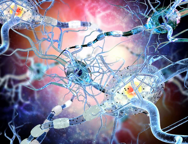 Nerve cells, concept for Neurological Diseases, tumors and brain surgery — Stock Photo, Image