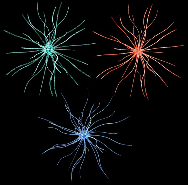 Cellules nerveuses, concept pour les maladies neurologiques, les tumeurs et la chirurgie du cerveau — Photo