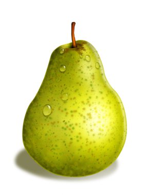 Sarı armut