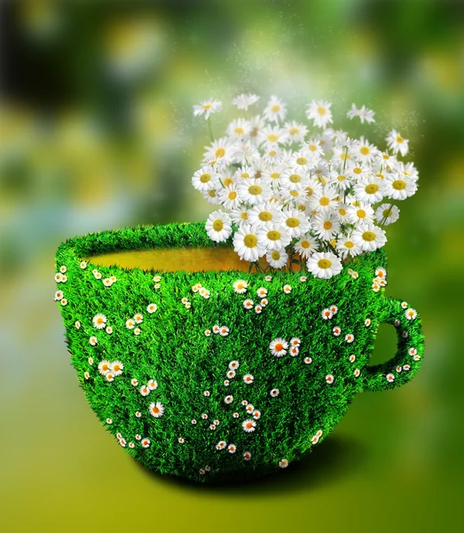 Herb tea cup from grass and flowers