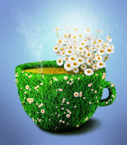 Herb tea cup from grass and flowers — Stock Photo, Image