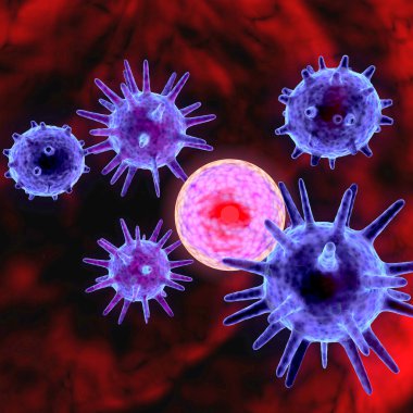 virüs sinir hücrelerini saldıran